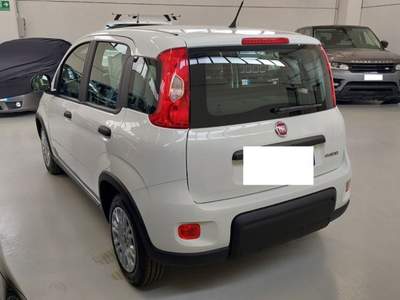 Fiat Panda 1.0 FireFly S&S Hybrid Bianco usata Palazzolo sull'Oglio