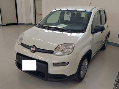 Fiat Panda 1.0 FireFly S&S Hybrid Bianco usata Palazzolo sull'Oglio