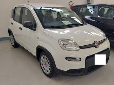 Fiat Panda 1.0 FireFly S&S Hybrid Bianco usata Palazzolo sull'Oglio