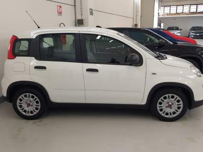 Fiat Panda 1.0 FireFly S&S Hybrid Bianco usata Palazzolo sull'Oglio