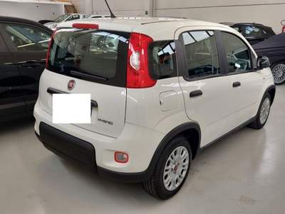 Fiat Panda 1.0 FireFly S&S Hybrid Bianco usata Palazzolo sull'Oglio