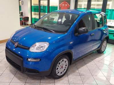 Fiat Panda 1.0 FireFly S&S Hybrid Blu/Azzurro usata Palazzolo sull'Oglio