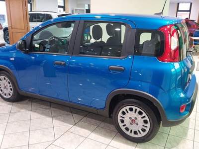Fiat Panda 1.0 FireFly S&S Hybrid Blu/Azzurro usata Palazzolo sull'Oglio