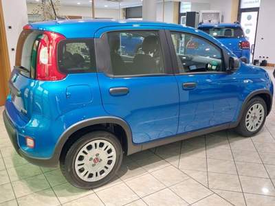 Fiat Panda 1.0 FireFly S&S Hybrid Blu/Azzurro usata Palazzolo sull'Oglio