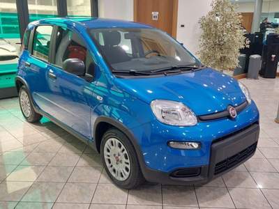 Fiat Panda 1.0 FireFly S&S Hybrid Blu/Azzurro usata Palazzolo sull'Oglio