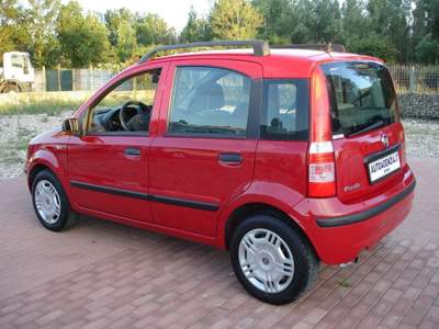 Fiat Panda 1.2 Dynamic_ Rosso usata Rimini