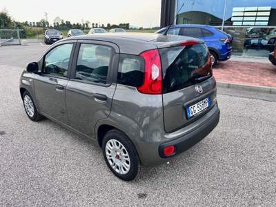 Fiat Panda 1.0 FireFly S&S Hybrid / Kit 5 Posti Grigio usata Pieve di Soligo