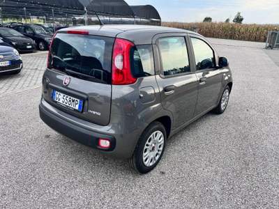 Fiat Panda 1.0 FireFly S&S Hybrid / Kit 5 Posti Grigio usata Pieve di Soligo