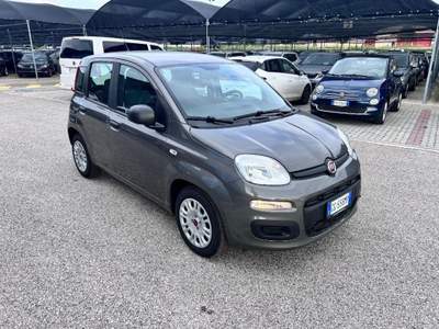 Fiat Panda 1.0 FireFly S&S Hybrid / Kit 5 Posti Grigio usata Pieve di Soligo