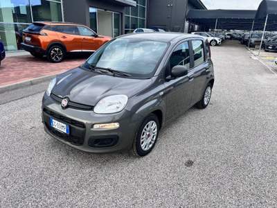 Fiat Panda 1.0 FireFly S&S Hybrid / Kit 5 Posti Grigio usata Pieve di Soligo