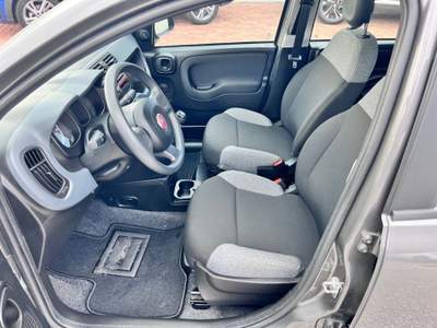 Fiat Panda 1.0 FireFly S&S Hybrid / Kit 5 Posti Grigio usata Pieve di Soligo