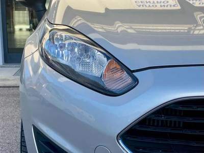 Ford Fiesta 1.6 TDCi 95CV 3 porte Van ECOnetic Argento usata LAMON