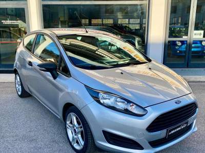 Ford Fiesta 1.6 TDCi 95CV 3 porte Van ECOnetic Argento usata LAMON