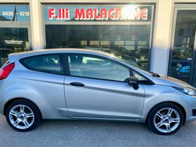 Ford Fiesta 1.6 TDCi 95CV 3 porte Van ECOnetic Argento usata LAMON