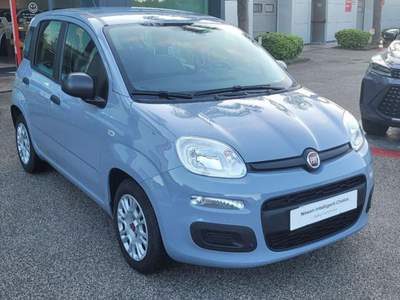 Fiat Panda 1.0 FireFly S&S Hybrid Grigio usata Monte di Procida