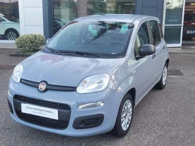 Fiat Panda 1.0 FireFly S&S Hybrid Grigio usata Monte di Procida