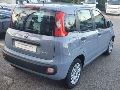 Fiat Panda 1.0 FireFly S&S Hybrid Grigio usata Monte di Procida