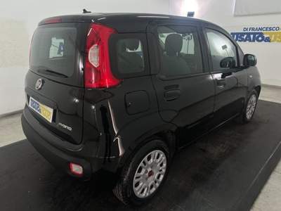 Fiat Panda 1.0 firefly hybrid s&s 70cv Nero usata Pescara