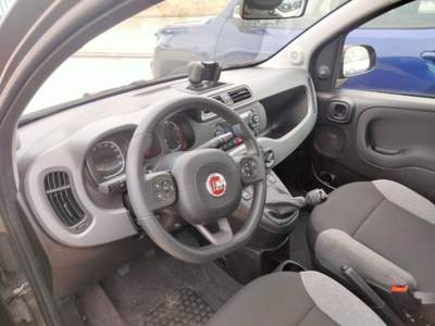 Fiat Panda 1.0 FireFly S&S Hybrid City Life Grigio usata Petrosino