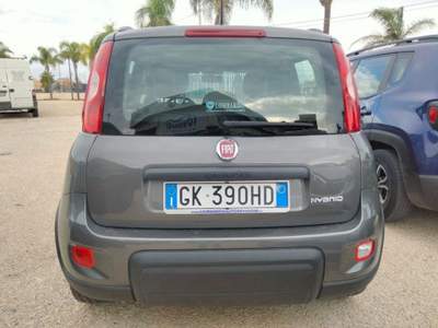 Fiat Panda 1.0 FireFly S&S Hybrid City Life Grigio usata Petrosino