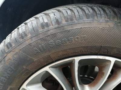 Fiat Punto Evo 1.3 Mjt 95 CV DPF 5 porte S&S Dynamic Argento usata Alba