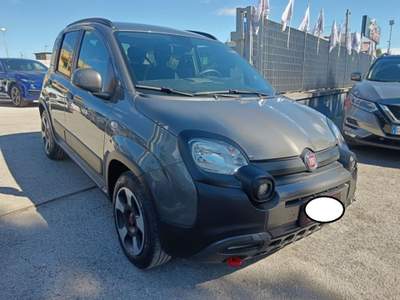Fiat Panda 1.0 FireFly S&S Hybrid Grigio usata Cassino