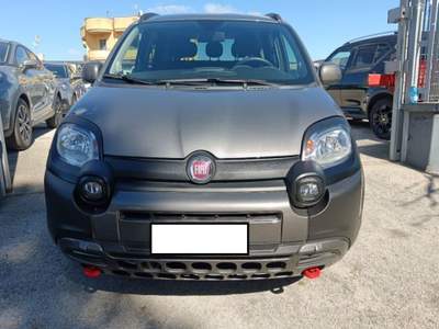 Fiat Panda 1.0 FireFly S&S Hybrid Grigio usata Cassino
