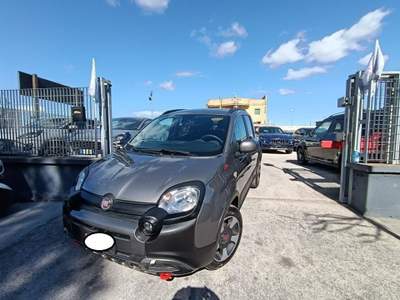 Fiat Panda 1.0 FireFly S&S Hybrid Grigio usata Cassino