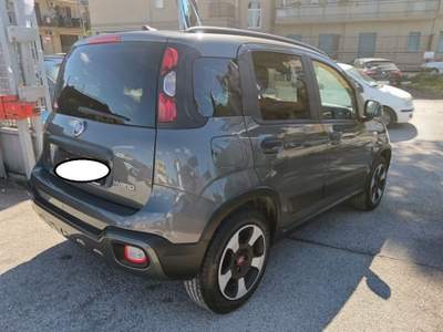 Fiat Panda 1.0 FireFly S&S Hybrid Grigio usata Cassino