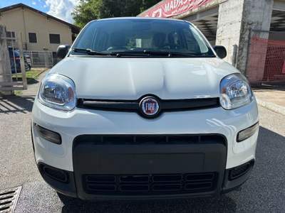 Fiat Panda 1.0 FireFly S&S Hybrid Bianco usata Cannobio