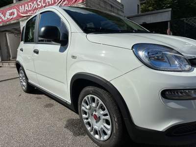 Fiat Panda 1.0 FireFly S&S Hybrid Bianco usata Cannobio