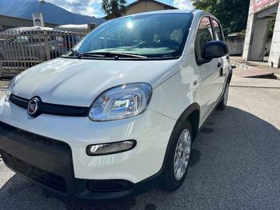 Fiat Panda 1.0 FireFly S&S Hybrid Bianco usata Cannobio
