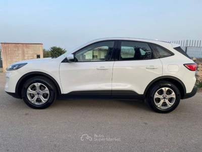 Ford Kuga 1.5 ecoblue Connect 2wd 120cv auto usata Ispica