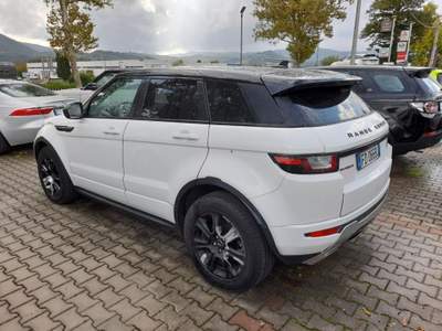 Land Rover Range Rover Evoque 2.0 TD4 150 CV 5p. SE Dynamic Bianco usata Scarperia e San Piero