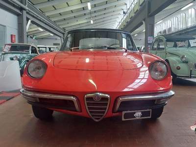 Alfa Romeo Spider Duetto osso di seppia 1.3 Rosso usata Vicolungo