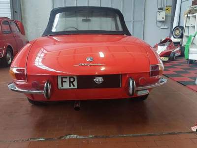 Alfa Romeo Spider Duetto osso di seppia 1.3 Rosso usata Vicolungo
