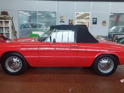 Alfa Romeo Spider Duetto osso di seppia 1.3 Rosso usata Vicolungo