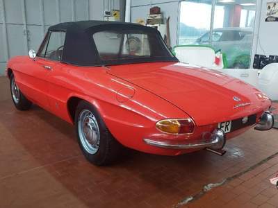 Alfa Romeo Spider Duetto osso di seppia 1.3 Rosso usata Vicolungo