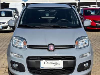 Fiat Panda  1.2 Lounge Grigio usata Fasano