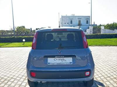 Fiat Panda  1.2 Lounge Grigio usata Fasano