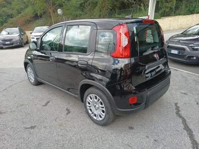 Fiat Panda 1.0 Pandina Hybrid NUOVA INCENTIVI EURO 0-1-2-3-4 Giallo usata Genova