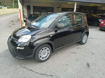 Fiat Panda 1.0 Pandina Hybrid NUOVA INCENTIVI EURO 0-1-2-3-4 Giallo usata Genova