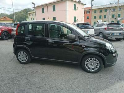 Fiat Panda 1.0 Pandina Hybrid NUOVA INCENTIVI EURO 0-1-2-3-4 Giallo usata Genova