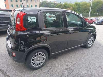 Fiat Panda 1.0 Pandina Hybrid NUOVA INCENTIVI EURO 0-1-2-3-4 Giallo usata Genova