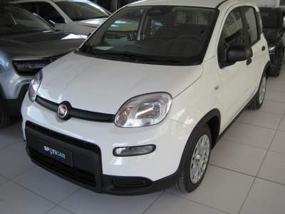Fiat Panda 1.0 FireFly S&S Hybrid Bianco usata Voghera