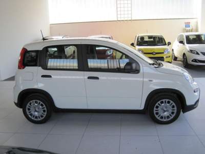 Fiat Panda 1.0 FireFly S&S Hybrid Bianco usata Voghera