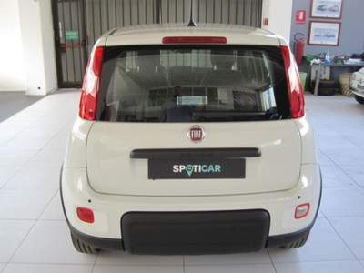 Fiat Panda 1.0 FireFly S&S Hybrid Bianco usata Voghera