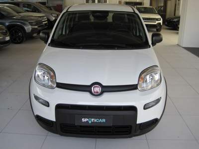 Fiat Panda 1.0 FireFly S&S Hybrid Bianco usata Voghera