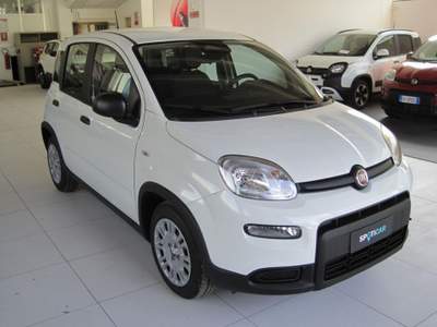 Fiat Panda 1.0 FireFly S&S Hybrid Bianco usata Voghera