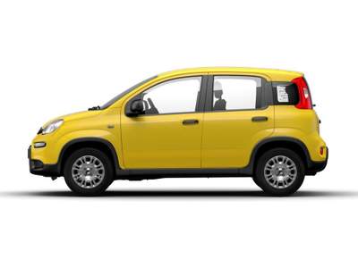 Fiat Panda 1.0 FireFly S&S Hybrid Giallo usata Torino
